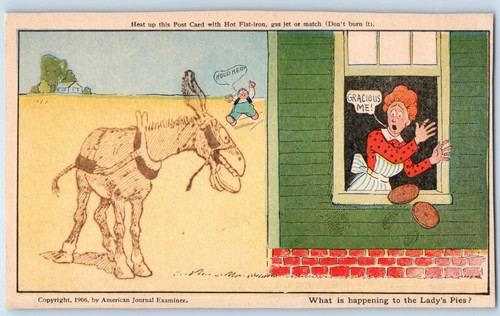Woman window saw donkey - woman,
