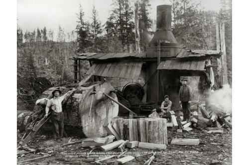 Logging donkey gasoline - logging, donkey,gasoline